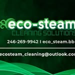 Eco-Steam Cleaning Solutions