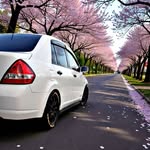 Extra10HP - Custom Tire Lettering